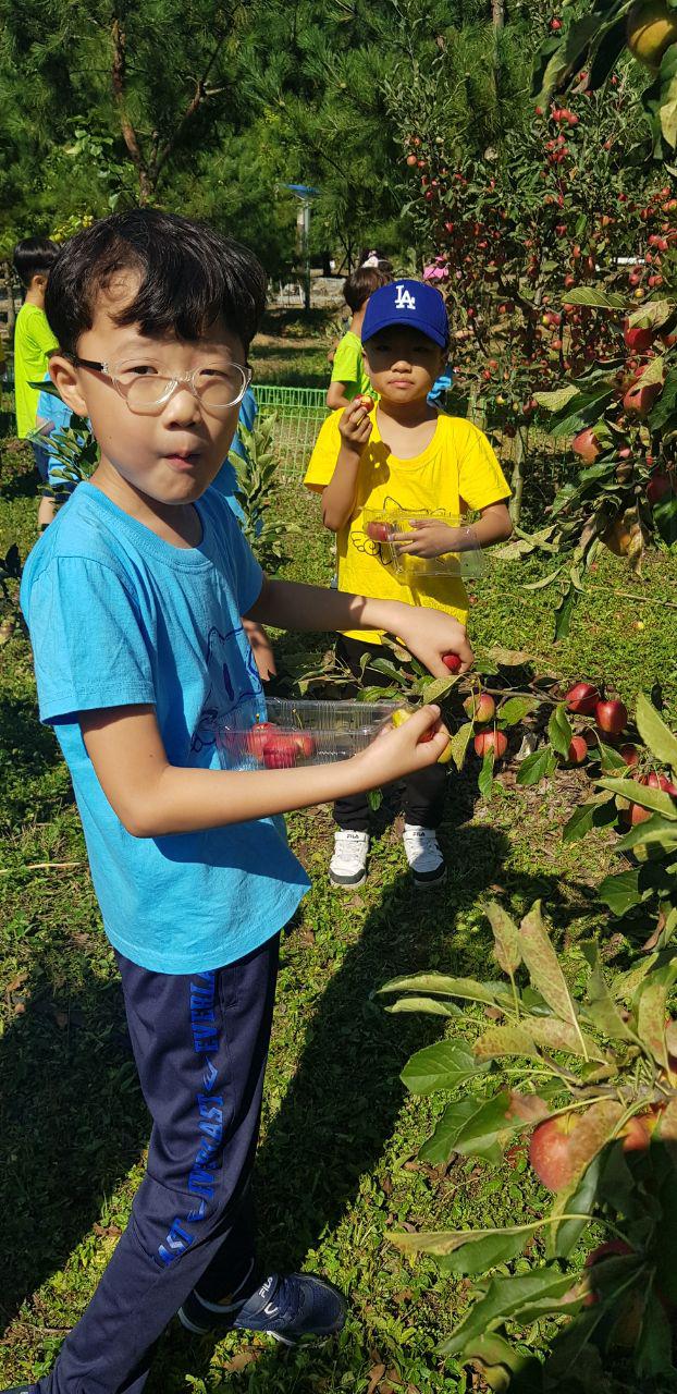 photo_2019-09-25_15-00-14