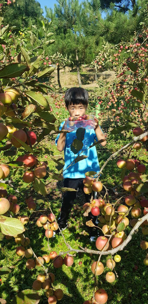 photo_2019-09-25_14-59-54